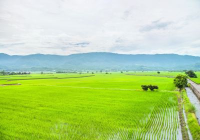 池上郷