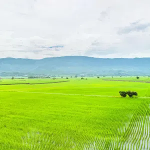 池上