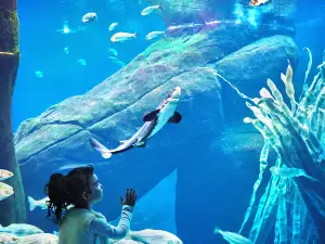 Montreal Biodome