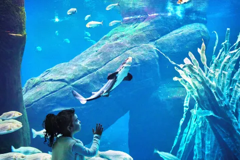 Montreal Biodome