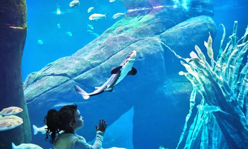 Montreal Biodome