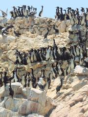 Ballestas Islands