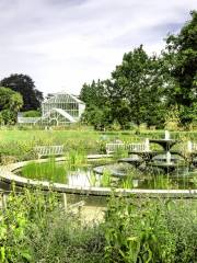 Jardín Botánico de la Universidad de Cambridge