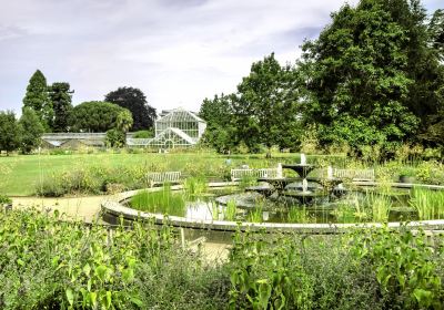 Jardín Botánico de la Universidad de Cambridge