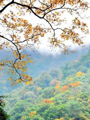 Dongla Mountain Grand Canyon