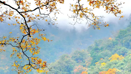 Dongla Mountain Canyon