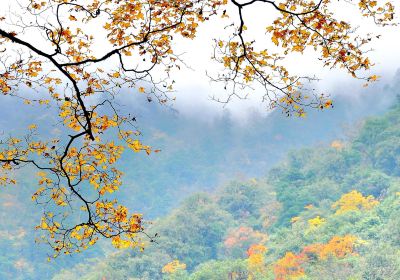 Dongla Mountain Canyon