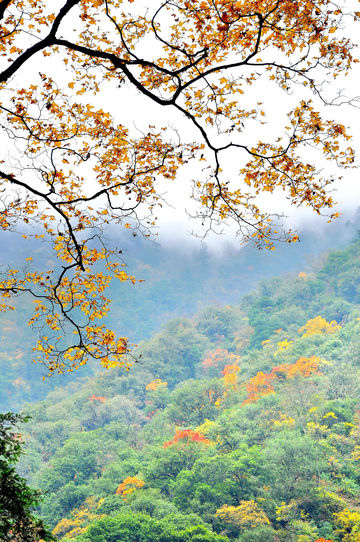 Dongla Canyon National Park