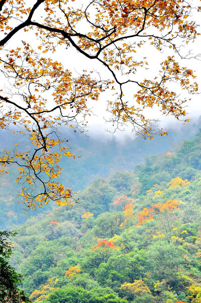 Dongla Canyon National Park