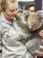 Ballarat Wildlife Park