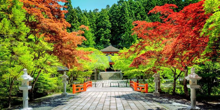 Koyasan