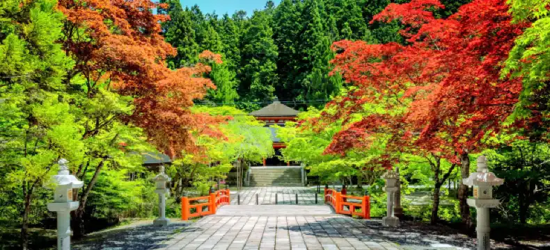 高野町のホテル