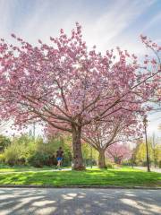 UBC Botanical Garden