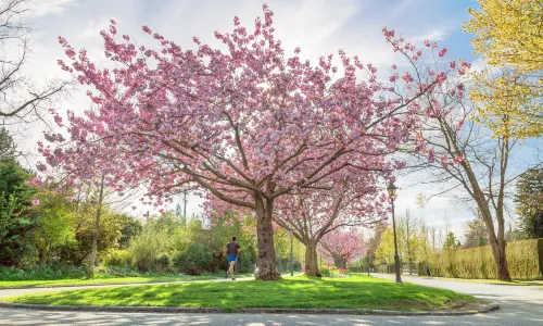 UBC Botanical Garden