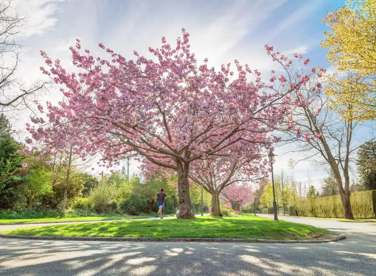 Metro Vancouver