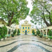 大自然與野生動物