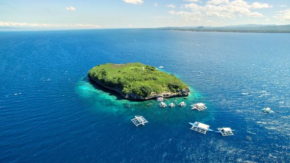 Bohol IslandExperiences