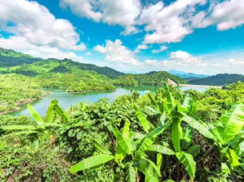 Hai Nan Bai Hua Ling