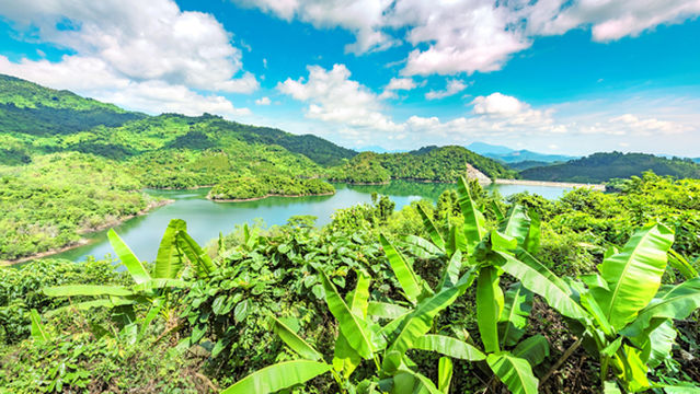 海南百花嶺熱帶雨林文化旅遊區
