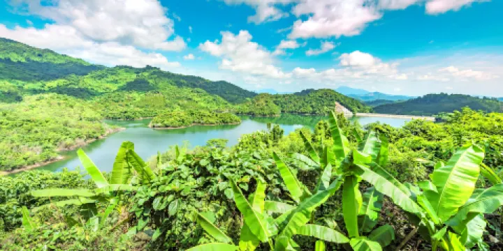 海南百花嶺熱帶雨林文化旅遊區