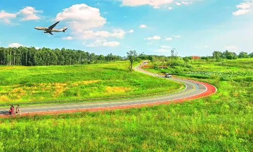 Airport Flower Field