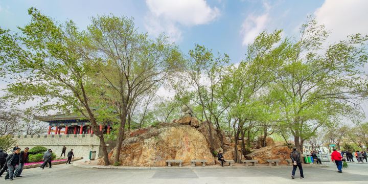 Cuoshishan Park