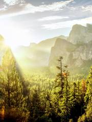 Vallée de Yosemite