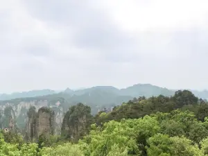 諾亞方舟動物園