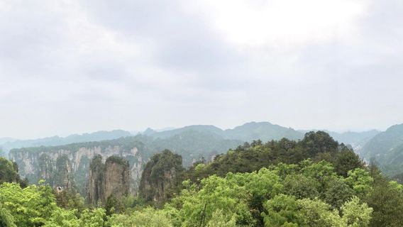 ZOO BRAUNSCHWEIG "Noah's Ark" Uwe Wilhelm GmbH