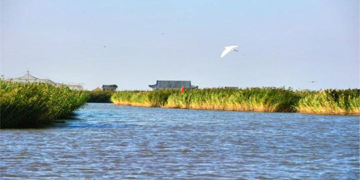 Dongfanghua Decheng Wetland Sceneic Area