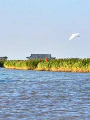 Dongfanghua Decheng Wetland Sceneic Area