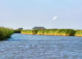 Dongfanghua Decheng Wetland Sceneic Area