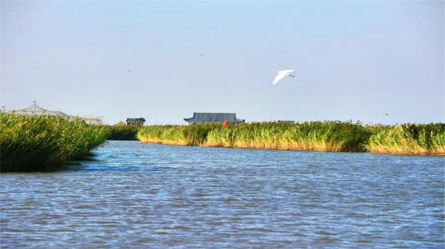 Dongfanghua Decheng Wetland Sceneic Area