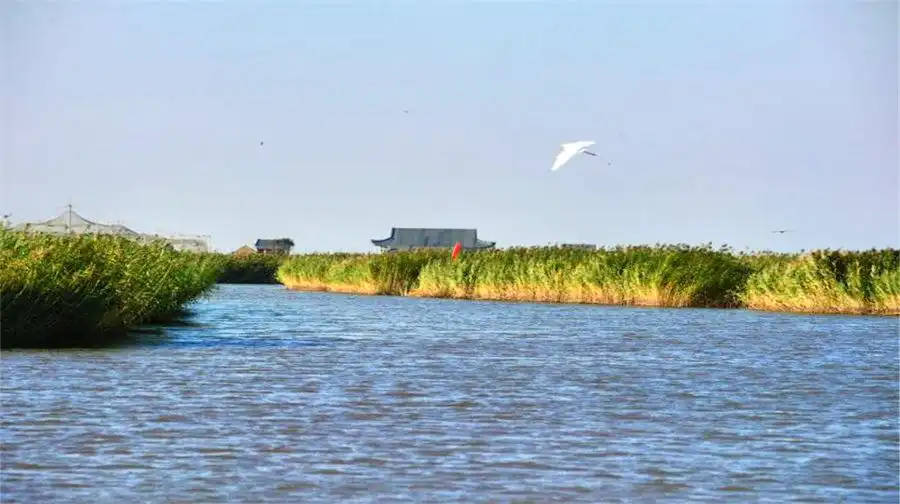 Hotels near Dongfanghua Decheng Wetland Sceneic Area