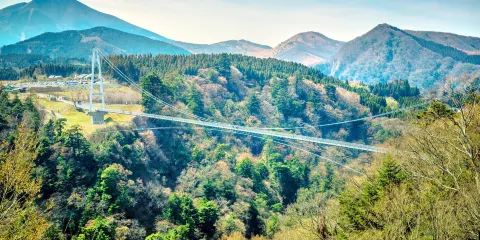 九重“夢”大吊橋