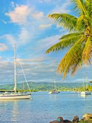 Savusavu