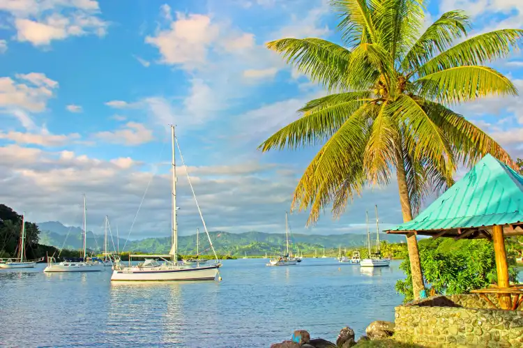Các khách sạn ở Savusavu