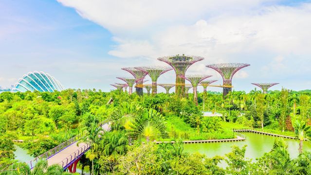 Supertree Grove