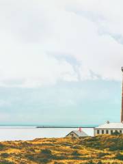 Grenen Skagen