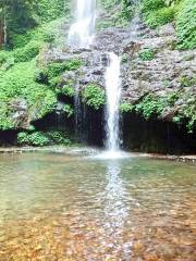 大桂山國家森林公園