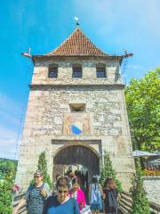 Laufen Castle at the Rheinfalls