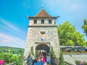 Laufen Castle at the Rheinfalls