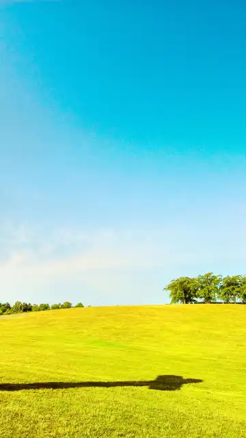 Hotels near Skogskyrkogarden