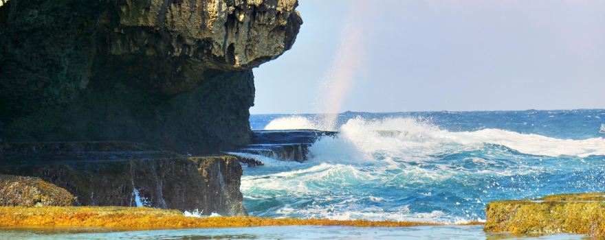 Blow Hole