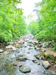 Rock Creek Park