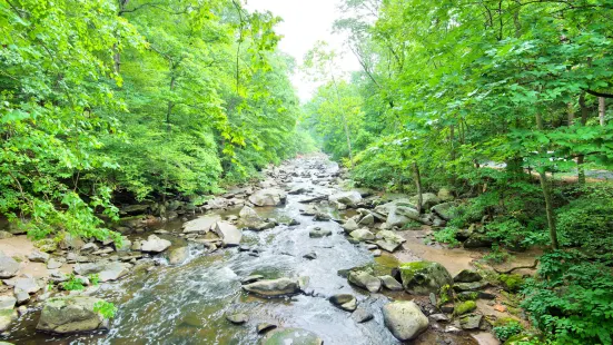 Rock Creek Park