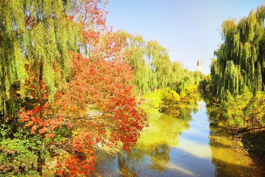 蒼梧綠園