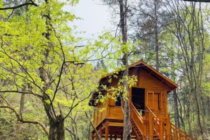 TAO HUA CHONG SEN LIN GONG YUAN HUA CHENG NONG GU