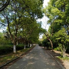 華東療養院餐廳張用戶圖片