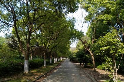 華東療養院餐廳